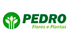 pedro-pontes-contabilidade